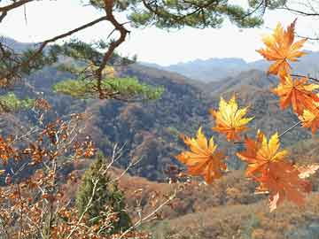 百度精選“登高望遠財來便有勸君更上一層樓”最精準一肖